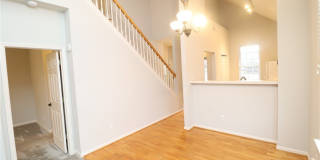 3013 Silky Dogwood Trail Gallery 10