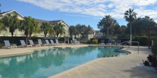 Springs at Palma Sola Gallery 39