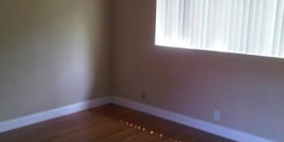 Poinsettia Club Gallery 2