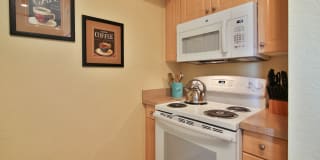 Springs at Palma Sola Gallery 7