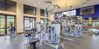 10602 Camarelle Circle Gallery 24