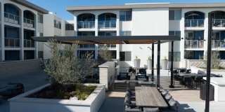 Dolphin Marina Gallery 21