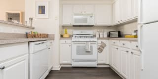 Ballston Place Gallery 13