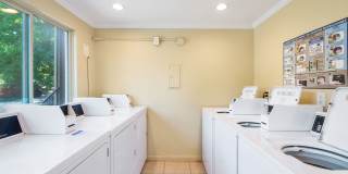 Chelan Gallery 40