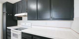 833 Cinnamon Gallery 11