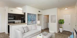 The Colonnade Gallery 15