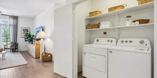 Bluestem at Loyola Gallery 13