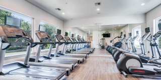 Red Stone Ranch Gallery 29