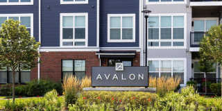 Avalon Norwood Gallery 27