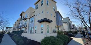Spacious 4-Bedroom Home in the Cannery Gallery 1