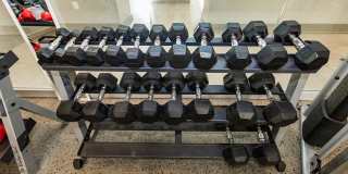 The Southerly Gallery 31