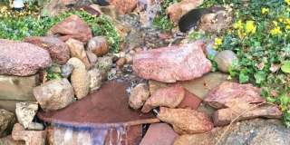 4BR/4BA Updated Home with Finished Basement Suite & Landscaped Yard Gallery 11