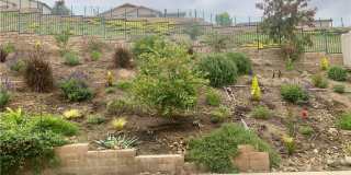 24648 Overlook Drive Gallery 18