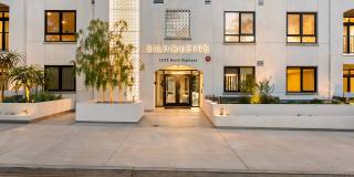 Silhouette Gallery 37