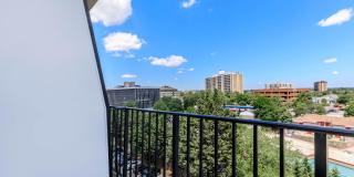 Whitestone at Landmark Gallery 63