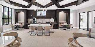 Palmera Gallery 21