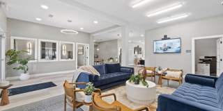 The Rivi Gallery 21