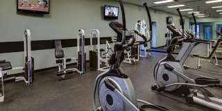 Seven Pines Gallery 13