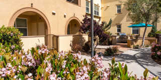 Paseos At Magnolia Luxury Apartment Homes Gallery 54