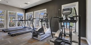 Harlowe Apartments Gallery 12