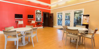 TGM Autumn Woods Gallery 24