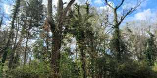 Fully Furnished and Move-in Ready: Charming 2BR/1BA Home Gallery 22