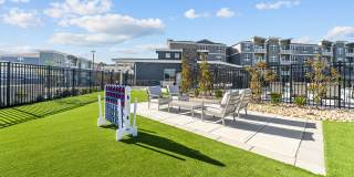 Legend at Beards Hill Gallery 20