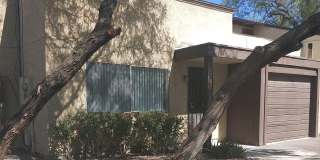 881 E Peppergrass Lane 881 E Peppergrass Lane Gallery 1