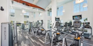 Town Westshore Gallery 32