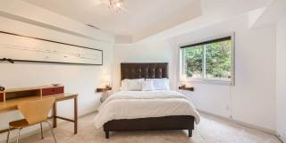 One of a Kind 3 BDR in west Boulder - Live in a Piece of Art Gallery 25