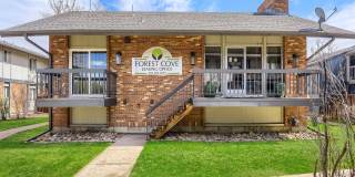 Forest Cove Gallery 56