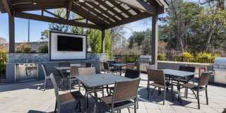 Arlow at Blue Ridge Gallery 42