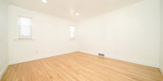 243 Newport Street Gallery 19