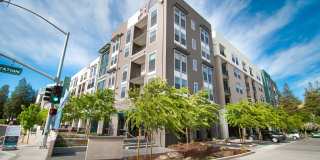 Cadence Apartments Gallery 19