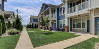 Springs at Hamburg Gallery 24