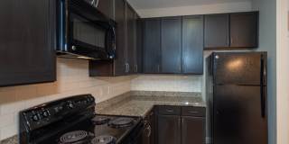 Red Knot at Edinburgh Gallery 5