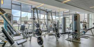View Gallery 13