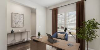 Skymor Panola Gallery 24