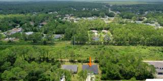 26 Serbian Bellflower Trail Gallery 35