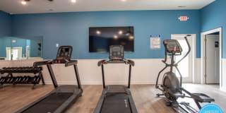 1241 Elk Knob Trail Gallery 20