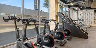 The Access Gallery 4