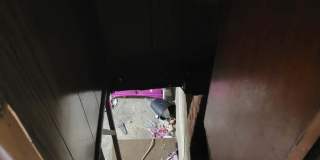 319 W 10th St Gallery 14