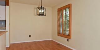 Huge yard with Pikes Peak Views! Gallery 8
