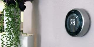 Carrington Lane Gallery 17