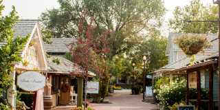Aspen Pines Gallery 550
