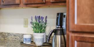 Ingram Mill Villas 55+ Gallery 9