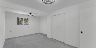 1803 Bluebonnet Gallery 19
