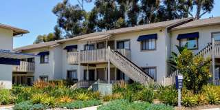 La Jolla Canyon Gallery 38