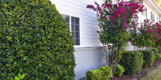 Oaks at Old Hickory Gallery 12