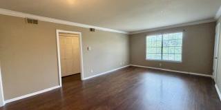 175 Harrigan Ct Gallery 9